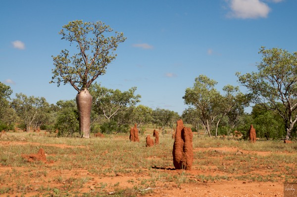 AustraliaPerth 10  180